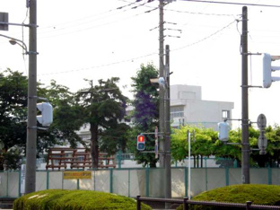深谷市立藤沢小学校まで4,243ｍ