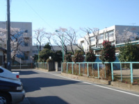深谷市立幡羅小学校まで4,521ｍ