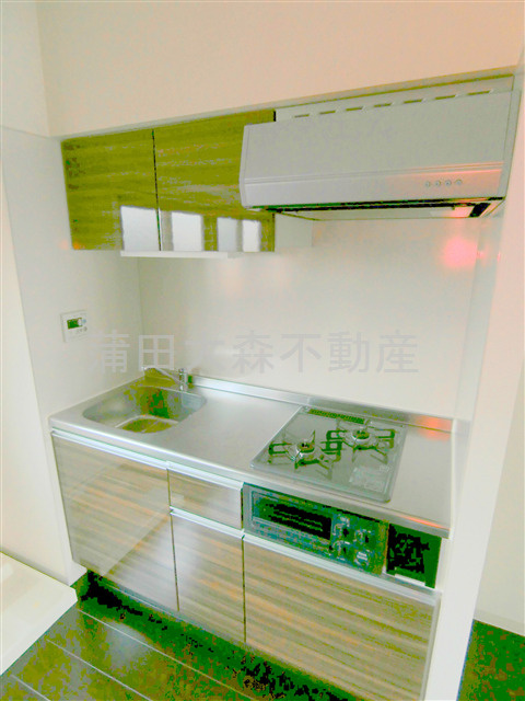 Bloom Residence(ブルームレジデンスのキッチン|2口グリル付システムキッチン
