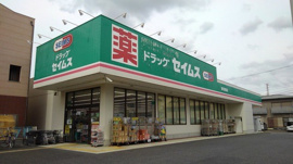 セイムスまで800m