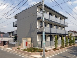 外観も気になるポイント