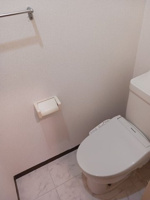 落ち着いたトイレです