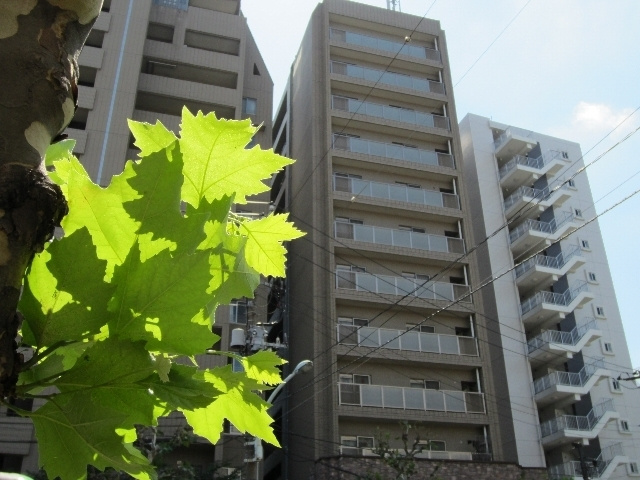 クレスト王子Ⅰの外観|グレード重視なら間違い無しの外観です♪