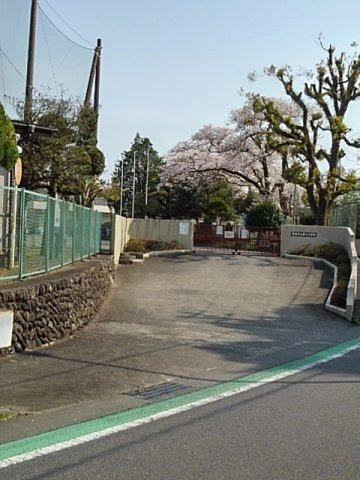 青梅市立第六小学校まで170m