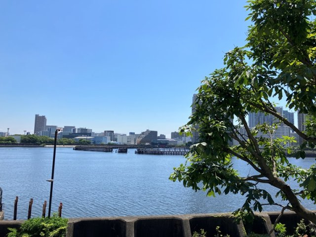 ウィルローズ月島テラスの展望