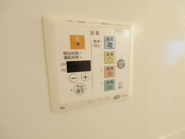 アメリアのその他