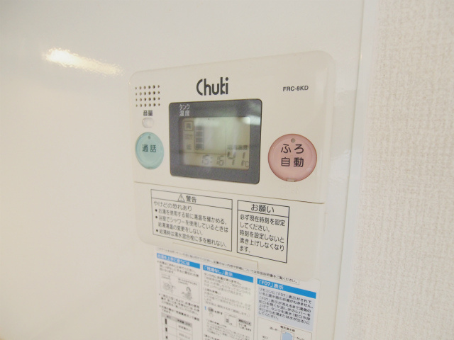 アメリアのその他