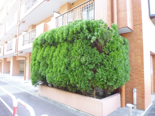 ヒルズセントポールのその他|建物左右には緑がしっかり♪