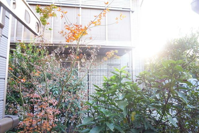 Ｇｏｌｄｉｌｏｃｋｓの展望