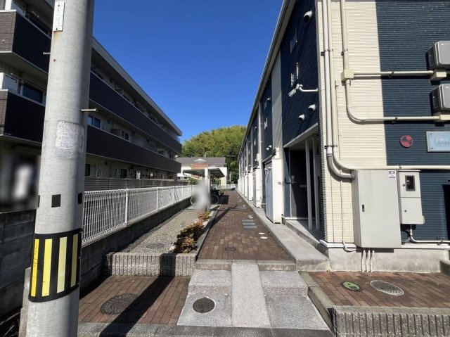 レオネクストさくらんぼのその他