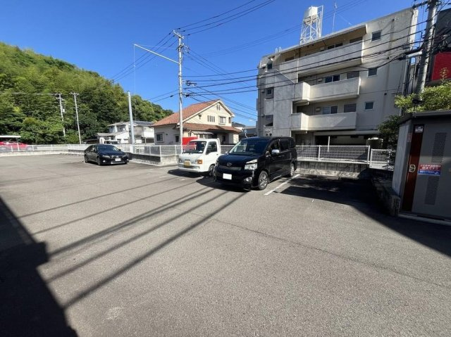 レオネクストさくらんぼのその他