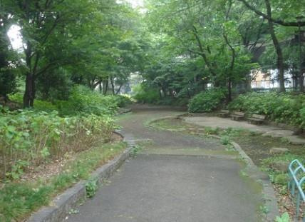 クオーレ　エフの周辺|玉川上水永泉寺緑地まで212m