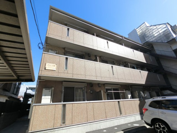 プランドール樹の画像