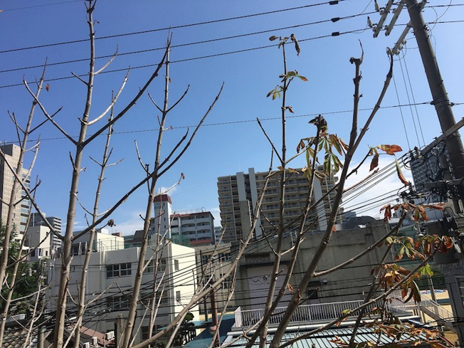 【展望】グランヴィ新大阪