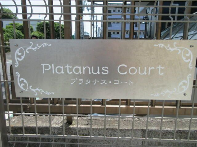Ｐｌａｔａｎｕｓ　Ｃｏｕｒｔのその他