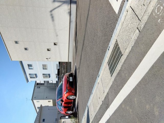 クレイノフィークスのその他