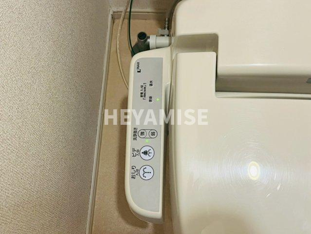 アンジュ夏海のその他