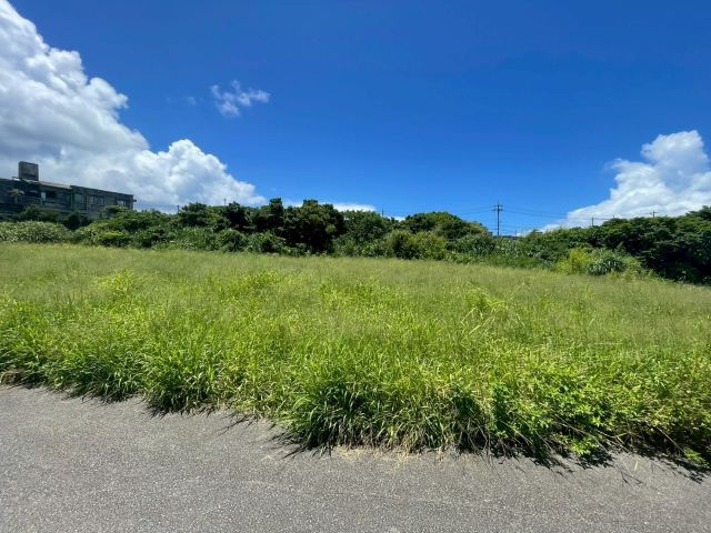 本部町辺名地の外観