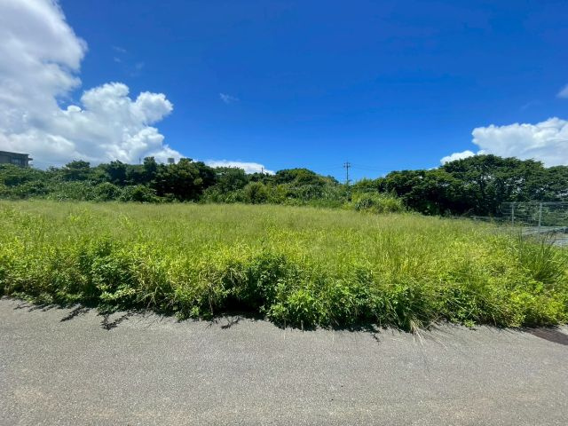 本部町辺名地の外観