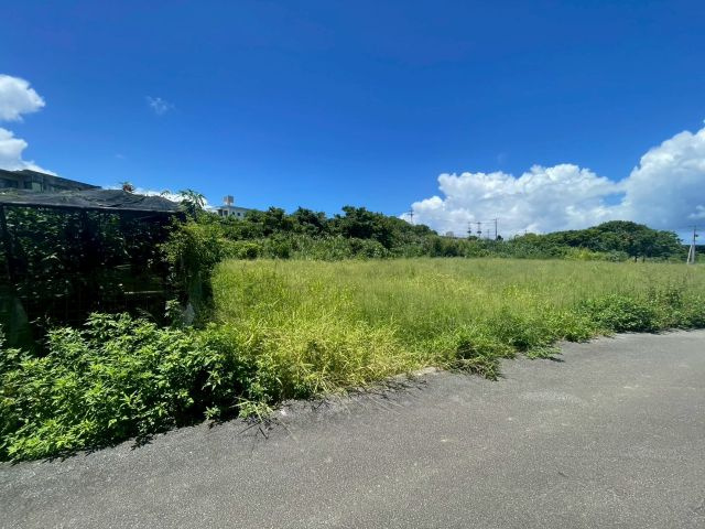 本部町辺名地の外観