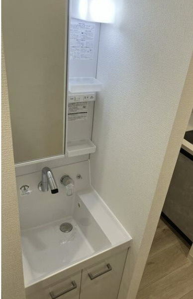 ヴィア明大前の洗面所