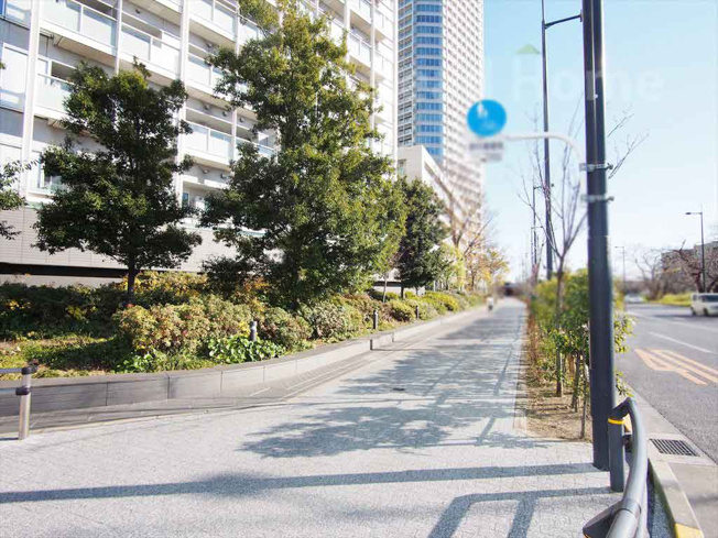 【その他】 | 二子玉川ライズタワー＆レジデンスタワーウエスト | 前面道路