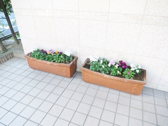 コンフォリア赤羽岩淵のその他|植物キレイです☆