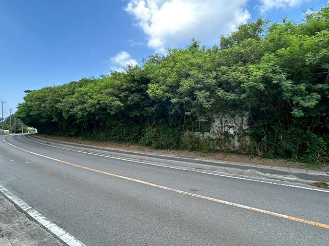 本部町備瀬