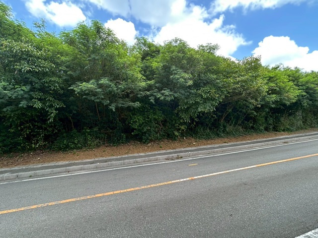本部町備瀬の外観