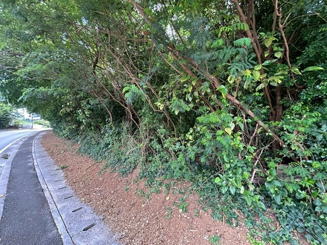 本部町備瀬の外観