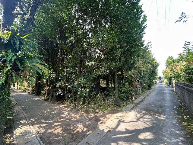 名護市稲嶺の前面道路含む現地写真