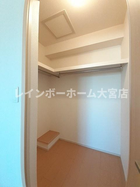 セントーレアの収納