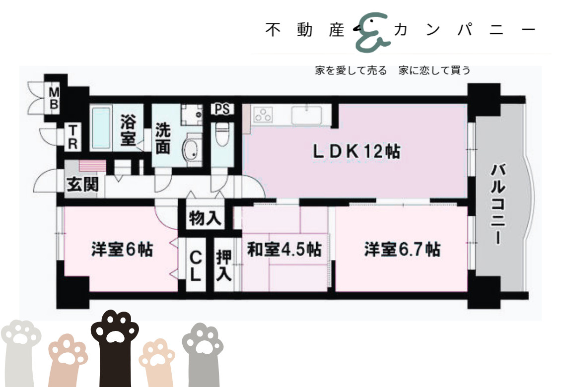 サントノーレ伊予灘町の間取り