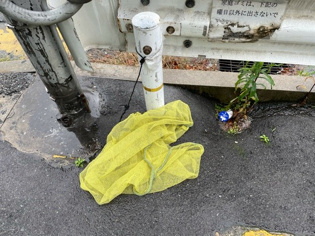AMA長洲ビルのその他物件画像