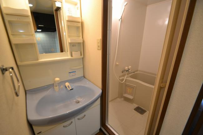 ★3+1プログラム★ドリームヒルズ西条の洗面所