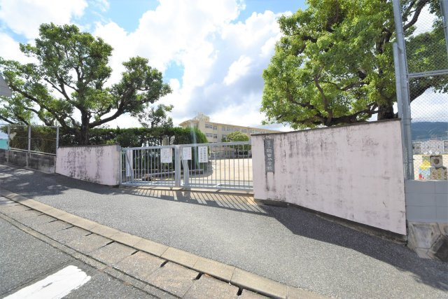 福岡市南区鶴田4丁目第1-1棟（1号棟）の周辺|鶴田小学校