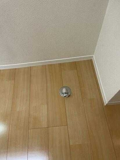 ＳＰＩＣＡのその他