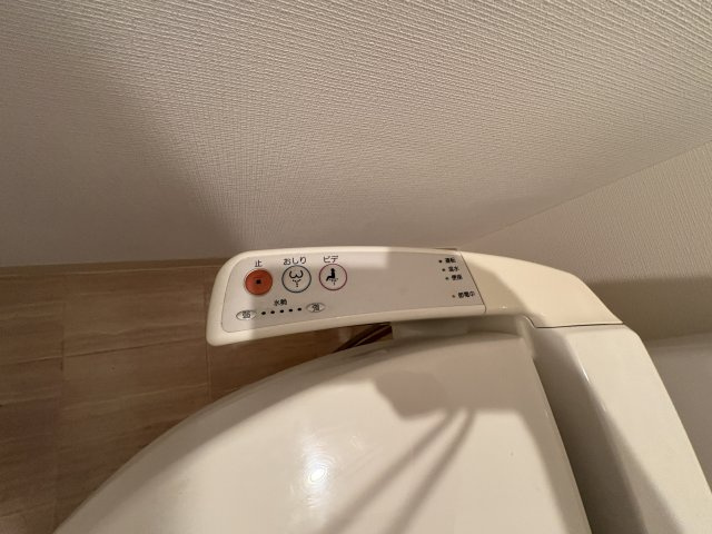  | シティヒルズ安堂寺