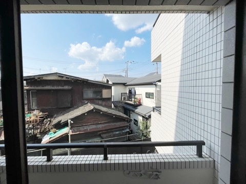 グレース桜の展望