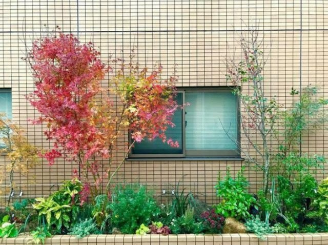 【その他】 | ラクラス下井草