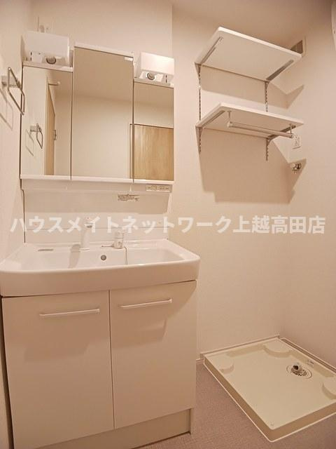 ヴィラ　シャングリラ高田　Aの洗面所|洗髪洗面化粧台