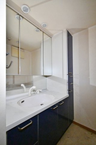 グリーンミユキ吉野町の独立洗面台|収納たっぷりの３面鏡タイプ。コップや歯ブラシ、ドライヤーなど、ごちゃごちゃしやすい物もスマートに収納出来ます。シャワー付きなので忙しい朝もささっと朝シャンできます。
