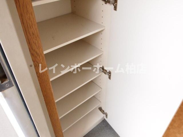 【仲介手数料：50％OFF】対象物件！の玄関|明るい玄関です