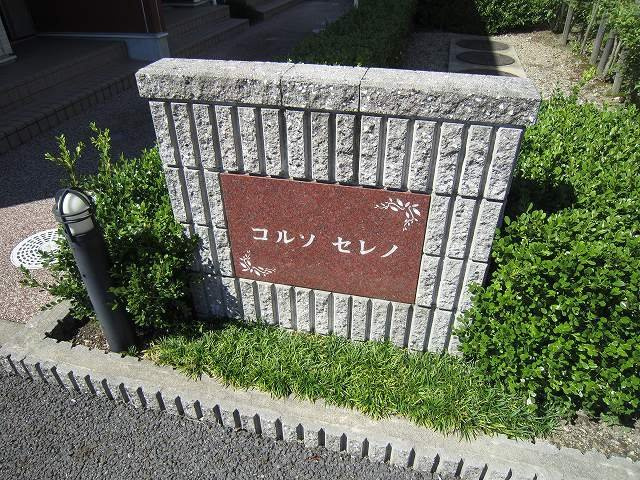 コルソ　セレノのその他