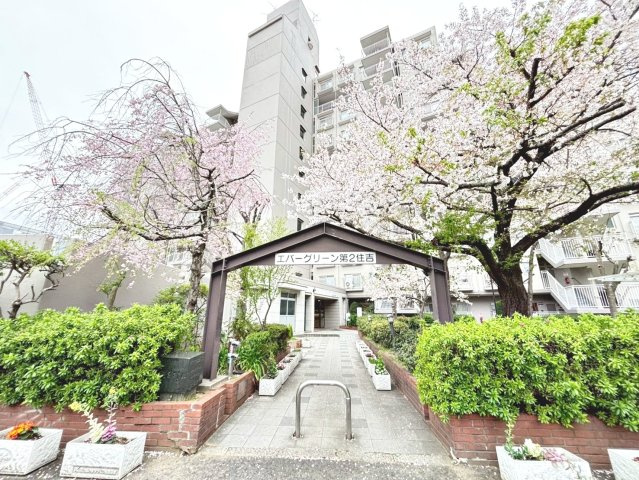 エバーグリーン第二住吉の画像