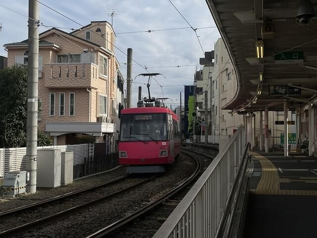 【展望】