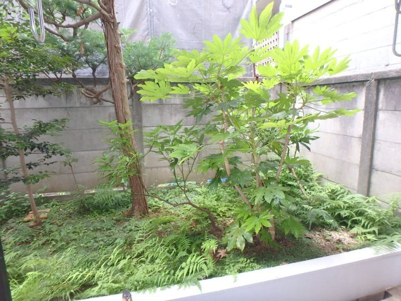 セントラルプラザ学芸大学の展望