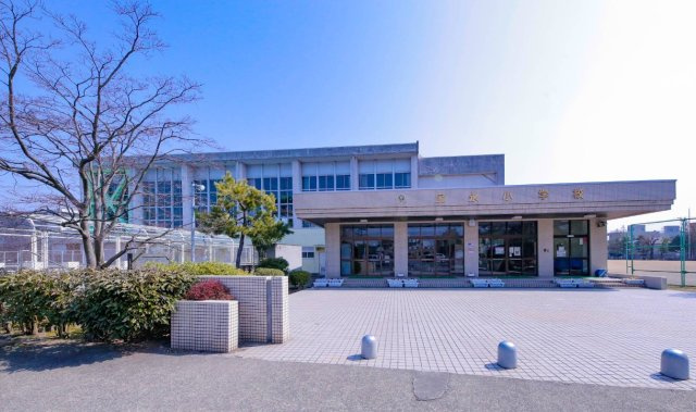 信開セルーラフェニックスの周辺