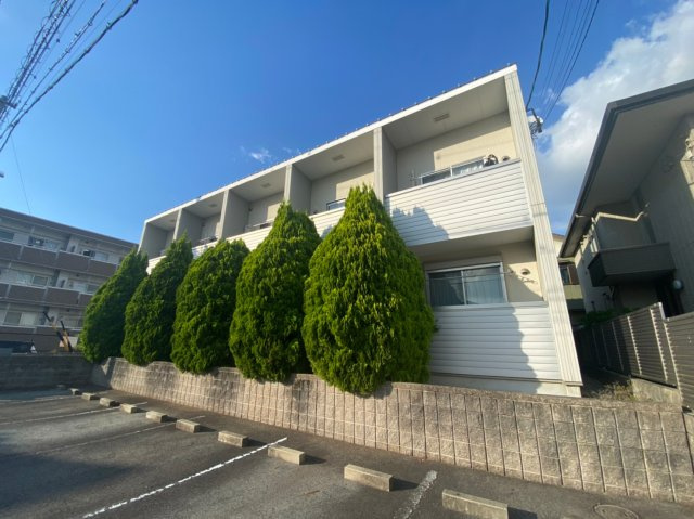 アクアヴィータ