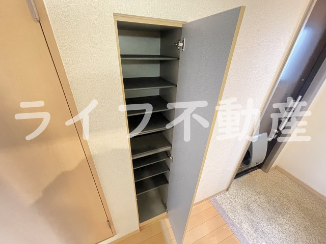 メゾンレモンの木の収納|収納豊富です